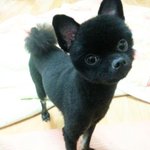 우리 깨<b>복이</b> 찾을 수 있게 도와주세요..