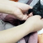 너무너무 사랑스러운 우리 조니랑 <b>워커</b>랑~~