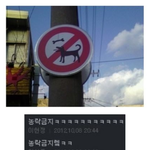 [2013국제도로교통박람회] 세계 각국 이색 표지판들