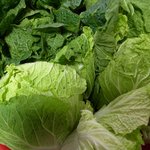 [김치만들기] 노총각의 <b>배추</b>김치만들기