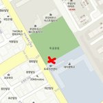 잃어버린 친칠라냥이를 찾아요 ㅠㅠ <b>대치</b>중학교 근처사는분 꼭 봐주세요