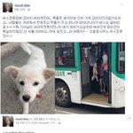 [<b>미미</b>까꿍] 동물농장 애청자 <b>미미</b>와 집+마당 개판만들기 1인자 까꿍이를...