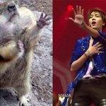 [exo] 아낰ㅋㅋㅋㅋㅋㅋㅋ빵터짐 <b>니니</b>
