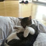 [빙구찡찡] 빙구의 <b>법칙</b>.