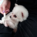 [<b>사니</b>하우스] 컴퓨터 배우는 사월