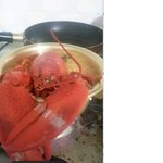 [이럴수가] 랍스타 <b>반신욕</b> 오징어짬뽕라면!