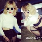 [비스트] 트메는 옳습니다