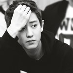 [exo] 찬열 정법 가는 이유가 사라진건가...