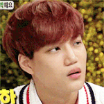 [exo] <b>사생</b>들보고짓는카이의표정