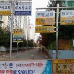 개독 컬렉션