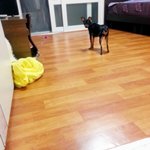 [<b>완두콩</b>이] 한지붕세여인12_오랫만이다!!!!!