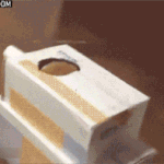 웃기면서 귀여운 동물들 움짤.<b>gif</b>