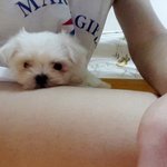 [까꿍라비] [라비] 숨막히는 뒷태의 소유자 라비