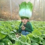 [EXO] 오센 <b>배추</b>