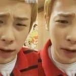 [블락비] 꿀벌들 <b>믹테</b>