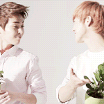 [EXO] 네이쳐<b>리퍼블릭</b> 루한슈밍이 다정다정ㅎ.ㅎ