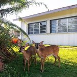 [여행이야기] 나의 20대가 가기 전 큰맘먹고 떠난 미국에서의 인턴생활