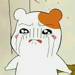 [인피니트] <b>요기</b>는