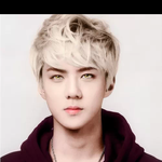 [EXO] 와 오센 정말 너처럼