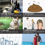 엄청 특이한 <b>이색</b>직업의 세계