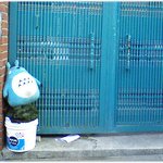 [재밌는사진] * <b>옆집</b> 토토로 ^^ *