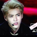 [exo] 요즘 얘땜에 미치겠씀