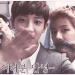 [EXO] <b>비글</b> 뒤에 작은 준면 