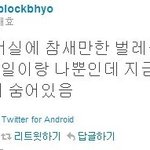 [블락비] 트위터 해킹<b>대란</b>ㅋㅋㅋㅋㅋ