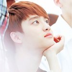 [EXO] 관심없어서 몰랐는데 설렘<b>송이</b>대체 뭐임?