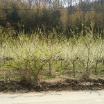 내가 찍은 사진들 어떻냐?