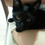 [건산생활관] 이아이 너무 고통스럽게 보냈어요...