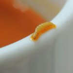 [개빡침] (사진有/혐주의) 방금 ㅅ라면에서 애벌레나옴 ㅡㅡ