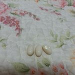 c*몰에서 먹는수분<b>보충</b>제 샀는데 유통기한이 다된게 왔어요....