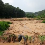 [<b>수해</b>복구] 대순진리회 자원봉사단들이 산사태 재해복구 봉사활동