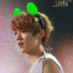 [EXO] <<엑소 멤버별 팬 <b>명칭</b>>>