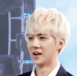 [EXO] 니네 머리 며칠 <b>안</b> 감아<b>봄</b>?