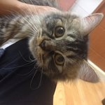 [슈엔<b>샤샤</b>] 슈 &amp;<b>샤샤</b>