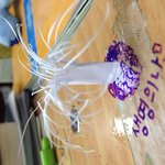 [EXO] 생명의<b>나무</b>