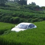 이게 가능할까? 황당한 교통사고 <b>대처</b>법