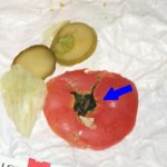 <b>진주</b>에 있는 롯데리아에선 토마토를 꼭다리채로 넣어 주네요.