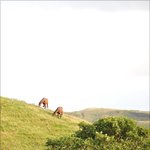 하나님의교회 - 하나님을 찾아야 하는 이유