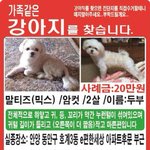 혹시나해서올림<b>니다</b>.관심가져주세요
