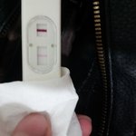 [조언부탁] <b>판독</b>해주세요!!?
