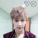 [<b>EX</b>] 이쁘니들