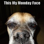 [미대언니] 오빠의 이야기+유진맘님 이야기(스압주의)