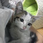 [<b>따듯</b>한날] 녀석의 매력에 웃다가도 울컥합니다.