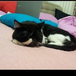 빡<b>구야</b>,,제발 장가좀 가자,,,