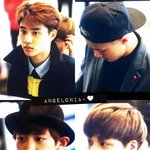 [EXO] 오늘자 <b>가을</b>남자 플뷰