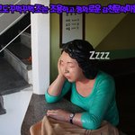 [<b>누</b>니가간다] 부산 감천문화마을에 거대한 토끼가 나타났다 !?!...