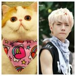 [EXO] 세훈 진짜 닮은꼴
